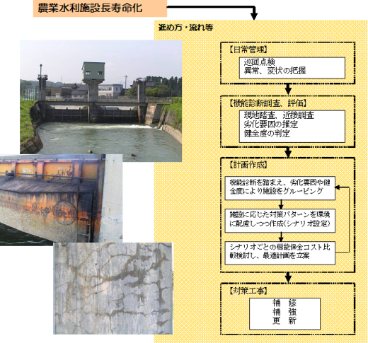 農業水利施設長寿命化