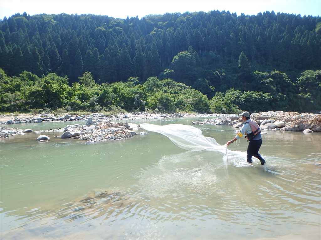 手取川・梯川水辺現地調査（魚類・陸上昆虫類等）外業務