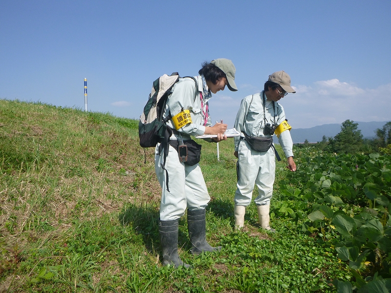 手取川・梯川水辺現地調査（植物）外業務