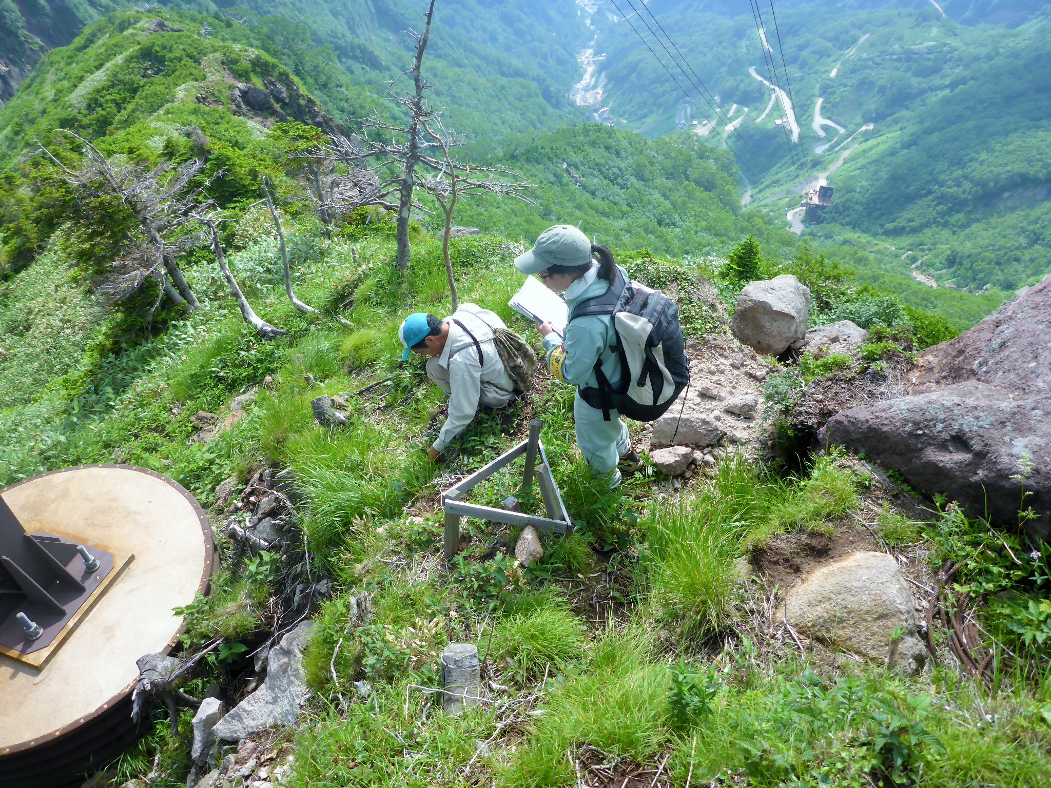 白山砂防管内自然環境調査業務