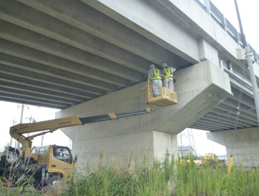 一般国道２４９号道路施設長寿命化対策（防災・安全）工事（設計）業務委託（定期点検その１）